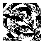 black & white abstract animation — SPACE\TIME series